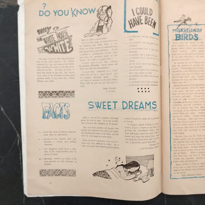 Victoria College مدارس النصر \ School Magazine