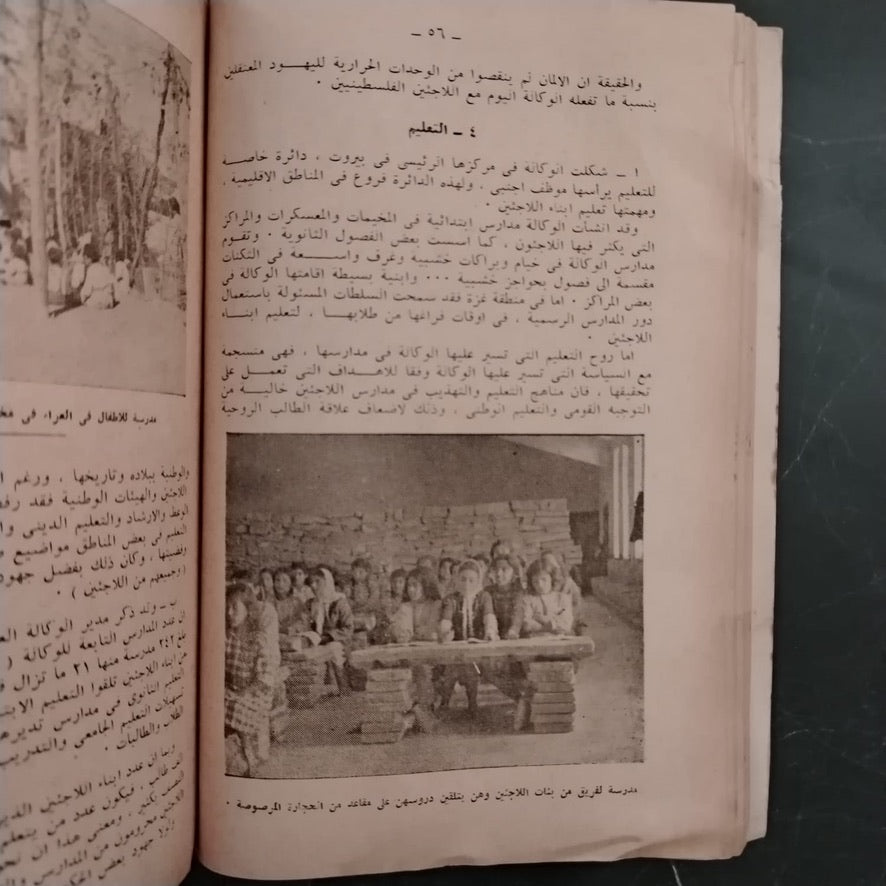 al-laji'un al-filistiniyun dahaya al-isti'mar wa al-sahyuniyya اللاجئون الفلسطينيون ضحايا الإستعمار والصهيونية \ Book