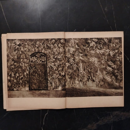 al-Bawwaba al-Masḥura البوابة المسحورة \ Book