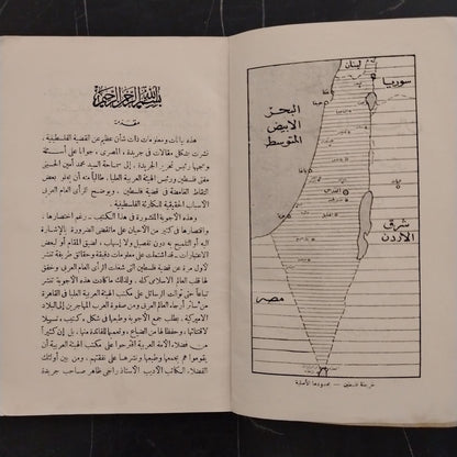 Facts About the Palestine Question: Statements by Mufti Muhammad Amin al-Husayni حقائق عن قضية فلسطين صرح بها سماحة السيد محمد امين الحسيني \ Book