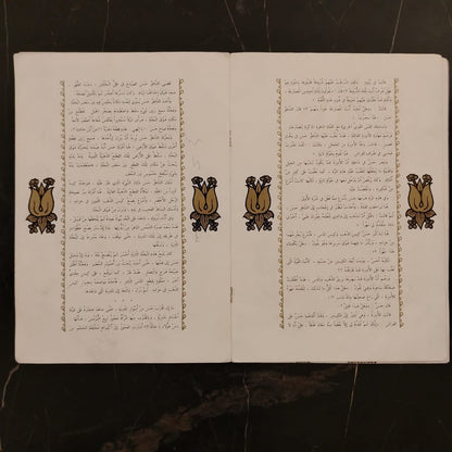 Balḥ al-Shāṭir Ḥasan  بلح الشاطر حسن \ Book