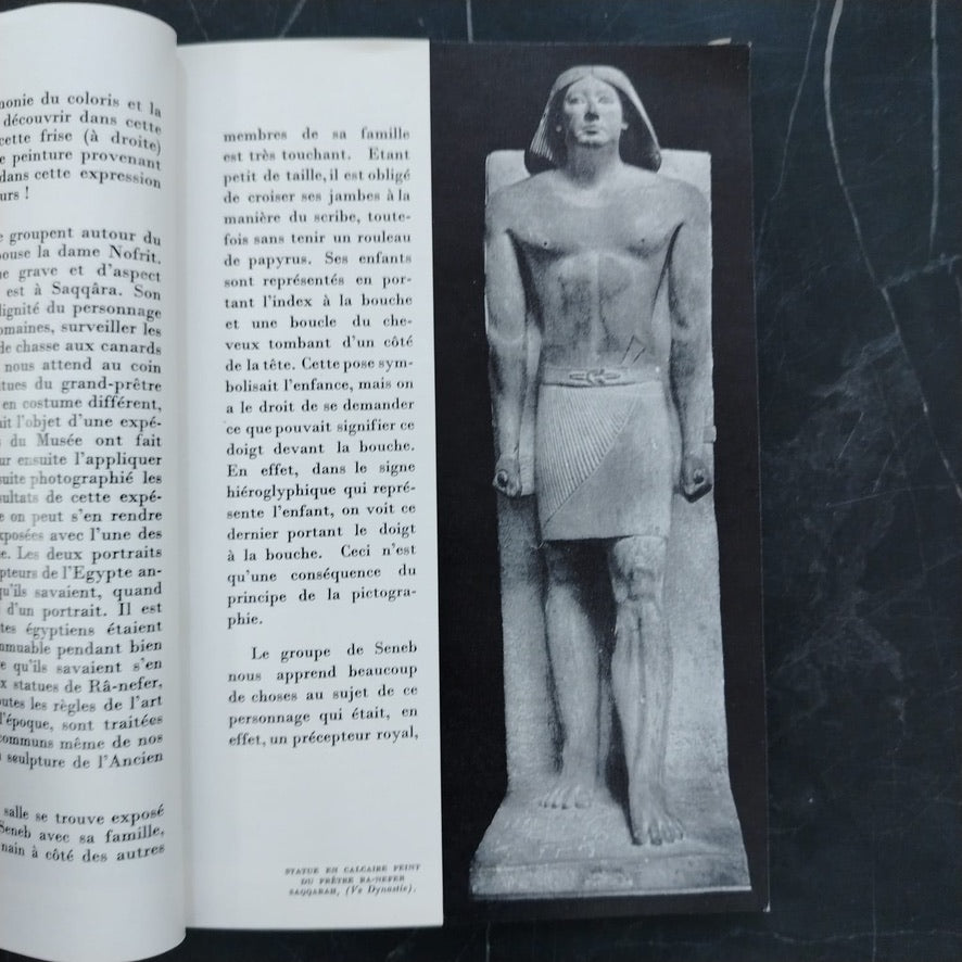 Le Musée Égyptien \ Brochure