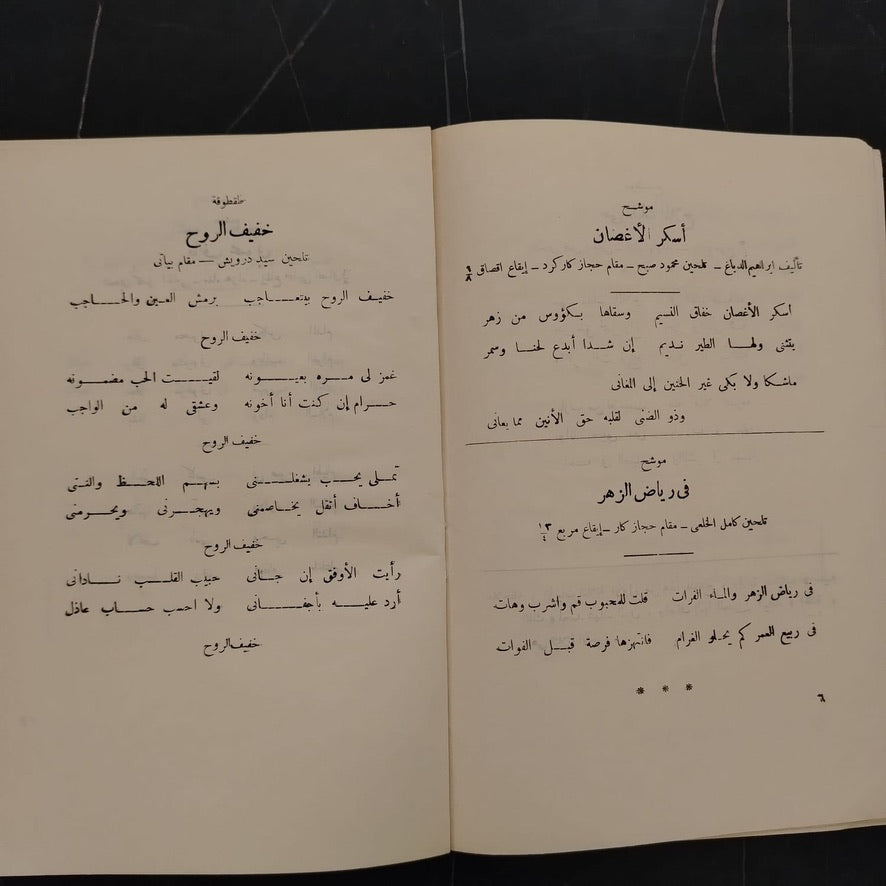 The Classical Arab Music Ensemble \ Brochure