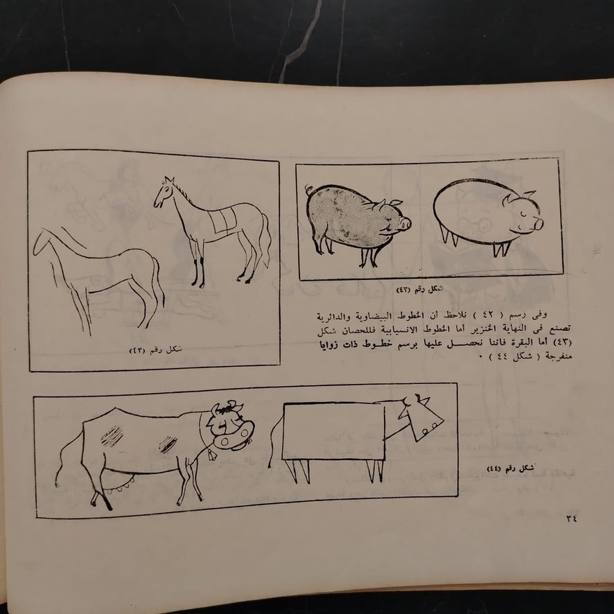 Fan al-Karikateir فن الكاريكاتير \ Book