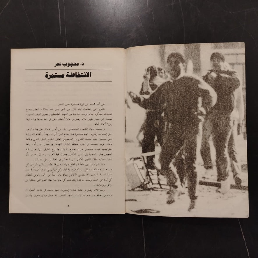Yaoumiyat al-intifada (Dairies of Intifada) يوميات الانتفاضة \ Book