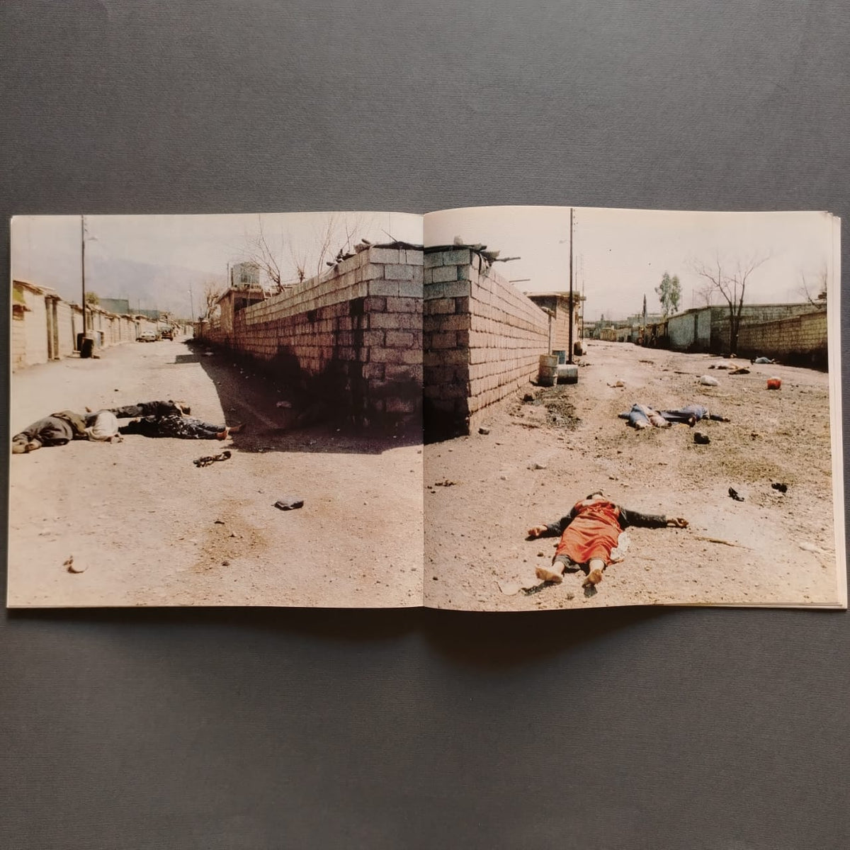 Saddam's Chemical Crimes, Images from Halabja massacre جرائم صدام الكيماوية \ Book