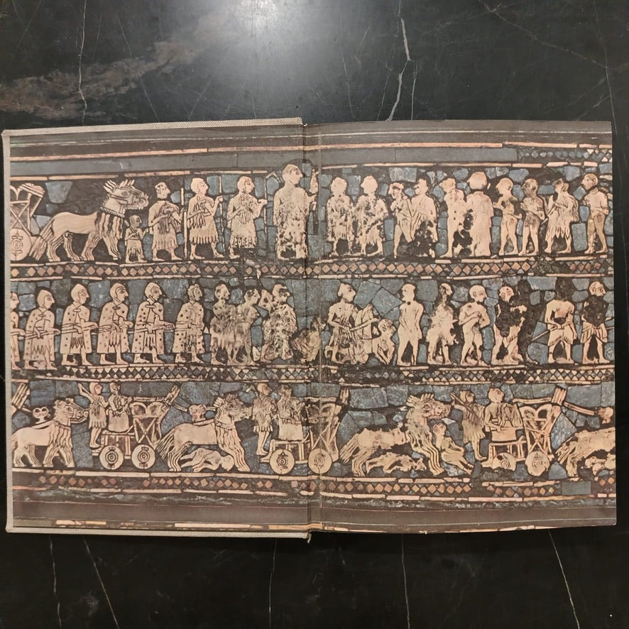 Arte Contempora'Neo Iraqui الفن العراقي المعاصر \ Book